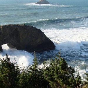 Meet your Posher, Mia